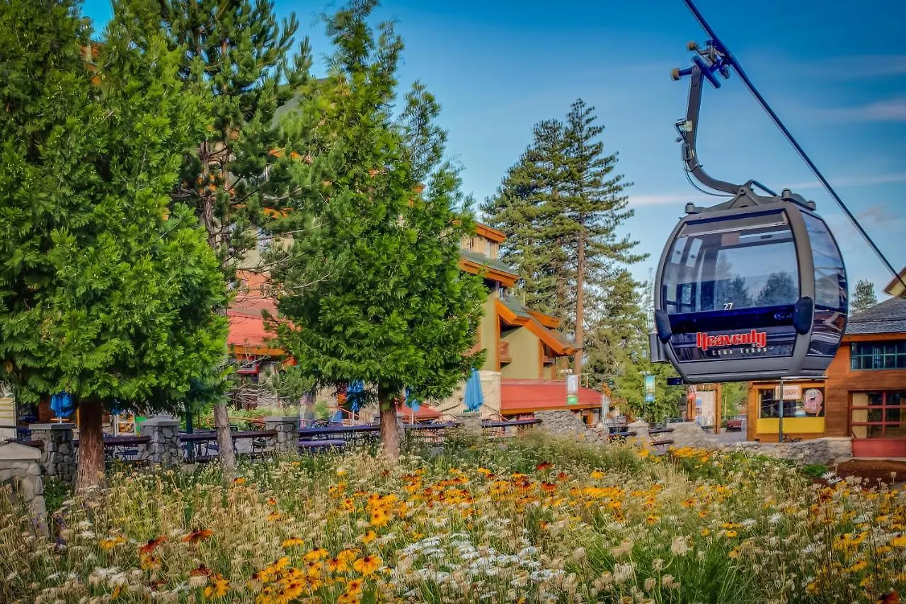 Pine Tree Place - Unit 4 Hotel South Lake Tahoe 0*,  United States